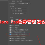 Premiere Pro色彩管理怎么显示