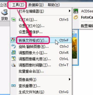 ACDSee 2025 家庭版截图