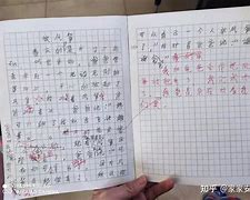 被主人罚一整天的小作文300字,美妆好物，点亮颜值，自信倍增！