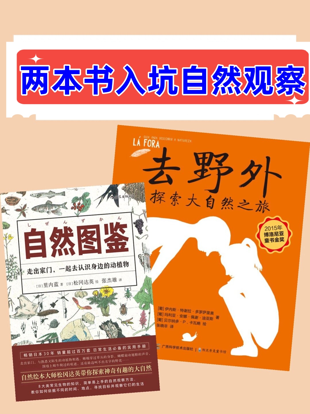 硬度不够可以吃什么药,自然观察指南，探索自然奥秘，发现身边的美好！